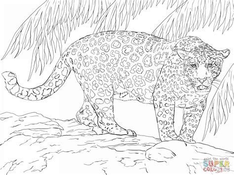 Jaguar Animal Coloring Pages