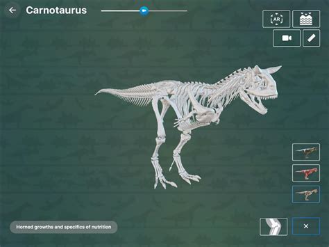 Image result for Australopithecus Simulation