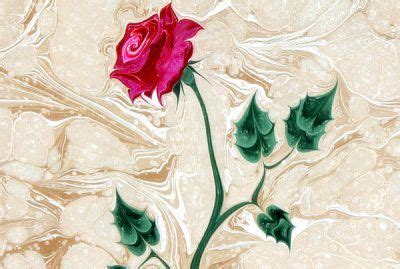 Türk Süsleme Sanatları - Ebru