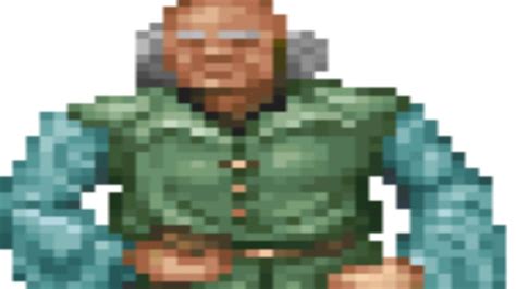 Image result for Daggerfall Fashon