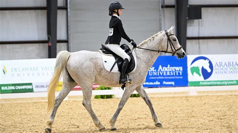 Cedar Crest Middle Schooler racking up equestrian titles