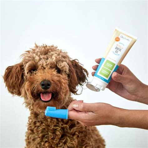 Oxyfresh Pet Toothpaste Finger Brush Kit Oxygene Dog Grooming – HEALTHY SPOT