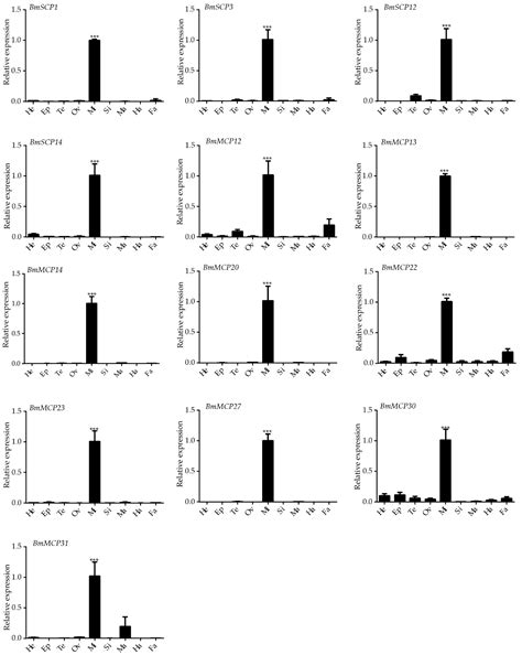Genome-Wide Identification and Characterization of Carboxypeptidase ...