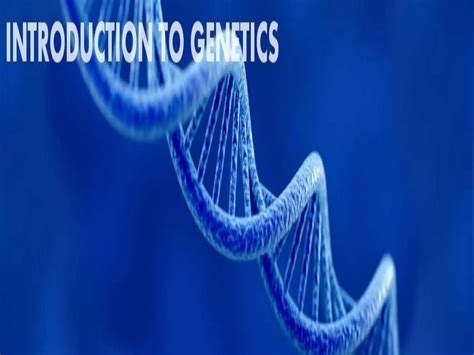 BioGenetic 的图像结果