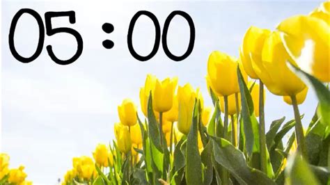 Image result for 5 Minute Timer Springtime