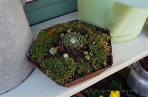 Reuse Examples 的图像结果