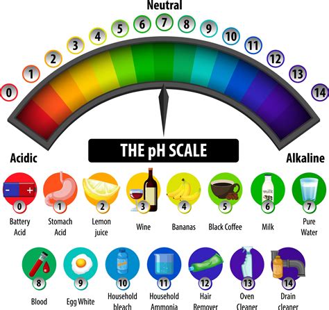 PH Scale Explained 的图像结果