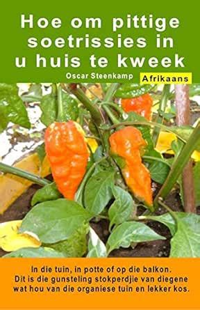 Hoe om pittige soetrissies in u huis te kweek. In die tuin, in potte of ...