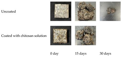 Characterization of Uncoated and Coated Fungal Mycelium-Based ...