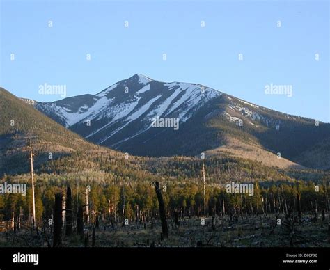 A clear view of Humphreys Peak, the highest mountain in Arizona, with ...