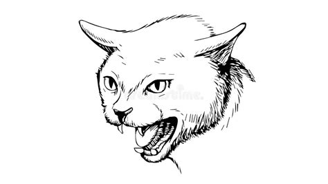 Image result for Angry Cat Sound Variations