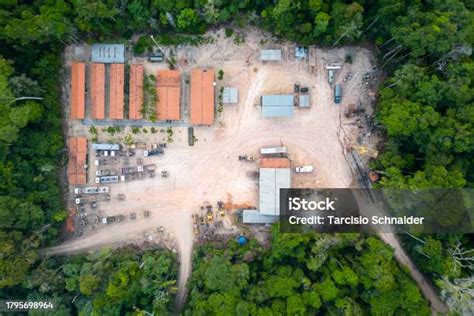 Image result for Logging Amazon Rainforest