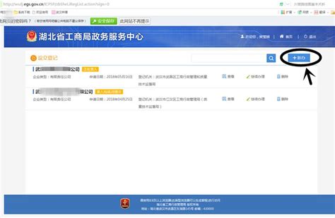 网上申报流程 - 武汉公司注册