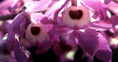 States Uts - Know India: National Portal of India