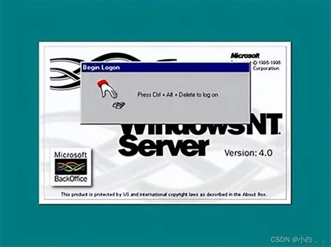 Windows 1.0 File Server 的图像结果