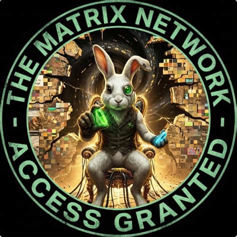 The Matrix Network : Toilet Time TV: Amazon.in: Books
