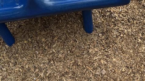 Optical illusion: Only 1 in 10 people can spot the hidden hair clip in ...