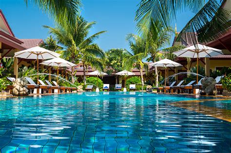 Image result for Essential Oil Tutorial