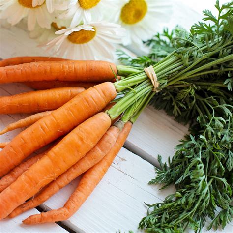 How To Freeze Carrots - Blanching And Without