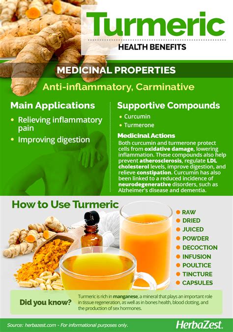 Turmeric | HerbaZest