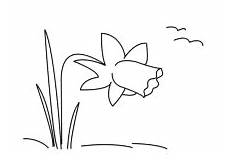 kinder malvorlagen narzisse malvorlage narzisse osterglocke blumen ausmalen kinder malvorlagen narzisse malvorlage narzisse osterglocke blumen ausmalen