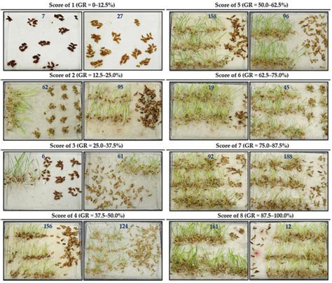 Genome-Wide Association Study for Seed Dormancy Using Re-Sequenced ...