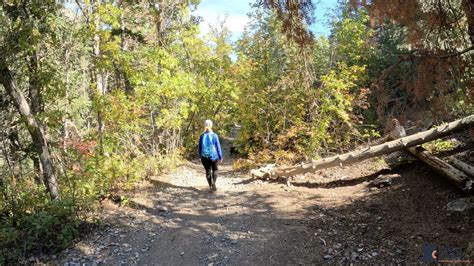 Horsetail Falls Hike from the Dry Creek Trailhead in Alpine, Utah