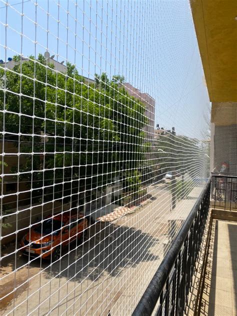 Pigeon Net Velachery Chennai