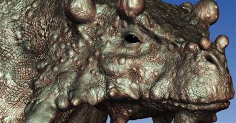 Bumpy Dinos Fossils 的图像结果