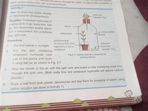 Write an experiment to show that carbon dioxide is necessary for ...