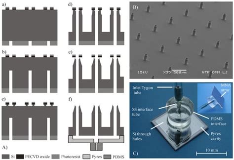 In Vivo Experimental Study of Noninvasive Insulin Microinjection ...