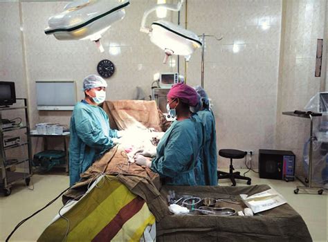 Image result for Capd