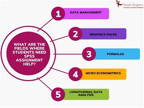 SPSS Assignment Help in India by Top Experts @50% off