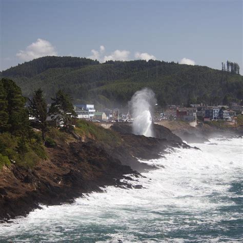 THE WHALE WATCHING CENTER (2026) All You Need to Know BEFORE You Go ...