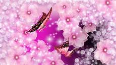 sfondi desktop fiori e farfalle fiori e farfalle bellissimi sfondi wallpaper free per la sfondi desktop fiori e farfalle fiori e farfalle bellissimi sfondi wallpaper free per la