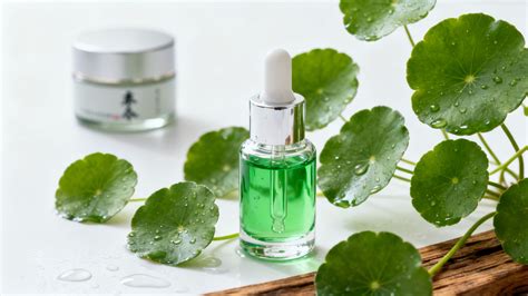 What is Centella Asiatica Extract? A Skincare Essential You Need – Buy Me Japan