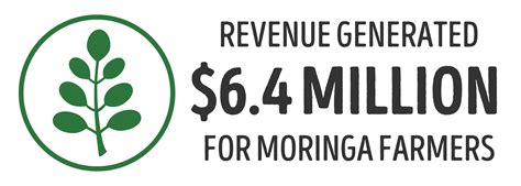 Kuli Kuli Foods: Moringa Superfood Products