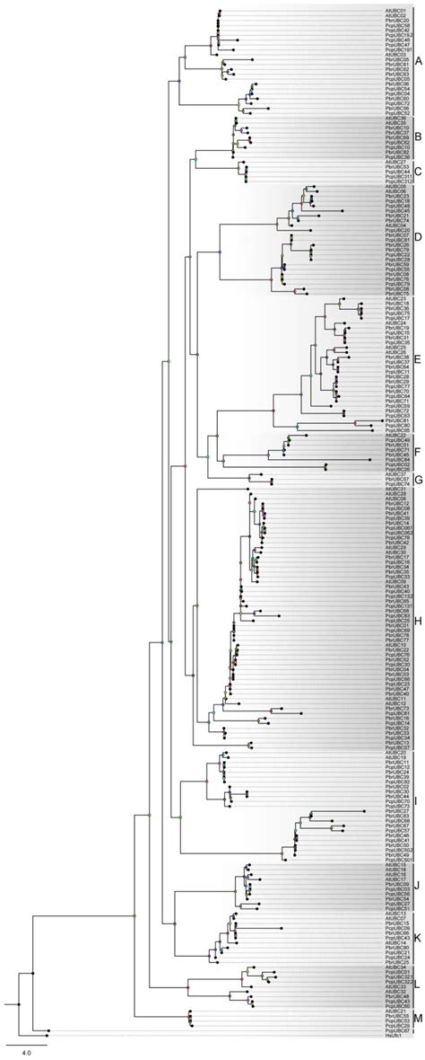 Comparative and Expression Analysis of Ubiquitin Conjugating Domain ...