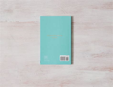 When The Bee Stings by Raquel Franco (Paperback) – Book Haven Books