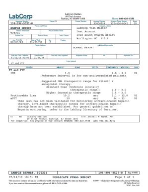 LabCorp Test Report - Blank Fillable Template | Fill Out, Print ...