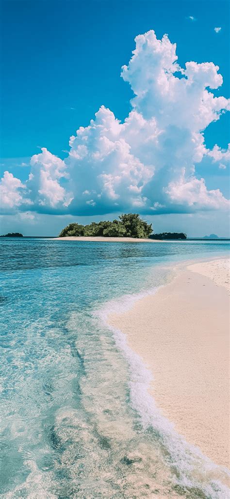 Bing Summer Beach Wallpaper 的图像结果