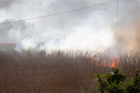 Crews gain control of brush fire in Rancho Palos Verdes near college ...