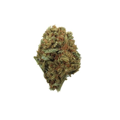 Buy AK-47 Hybrid Weed Strain in Canada – Premium Hybrid A+