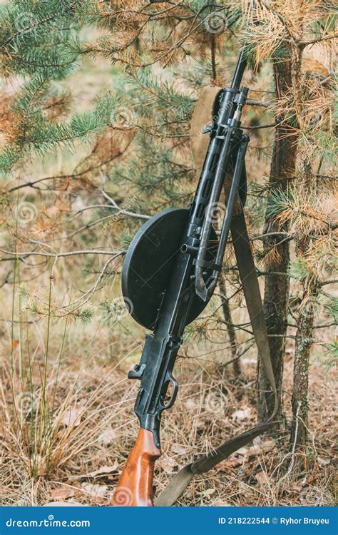 Old Soviet Russian DP Machine Gun of World War II Leaning Against Trunk ...