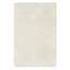 Newton Ivory Flatweave Area Rug 5x7 | At Home