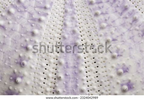 405,167 Repetitive Nature Images, Stock Photos, 3D objects, & Vectors ...