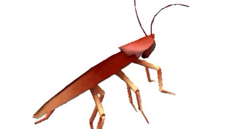 Dancing Cockroach Meme 的图像结果