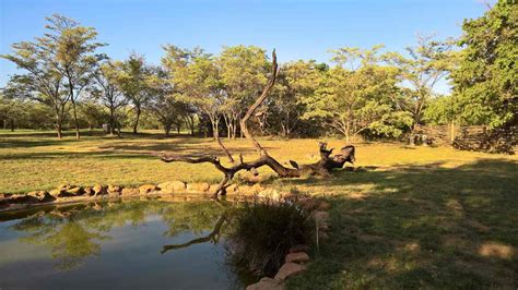 Customer reviews of Ama Amanzi Bush Lodge, , Lephalale (Ellisras)