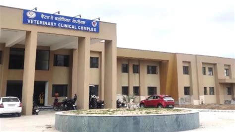 80 vet graduates in limbo: Punjab Council cancels registrations over ...