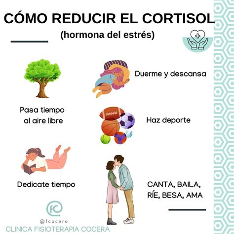 Manejo del cortisol: estrategias de fisioterapia para reducir el estrés - Fisioterapia Francisco ...